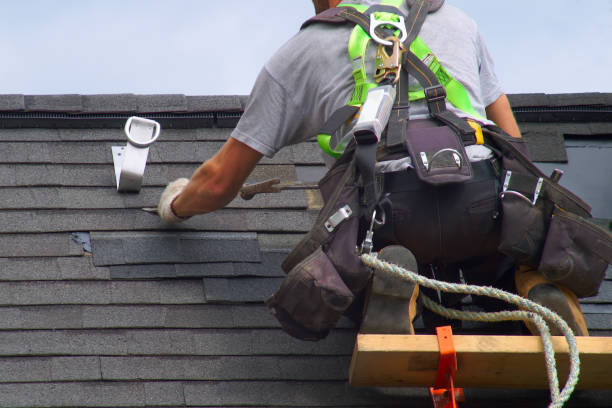 Siding in La Monte, MO