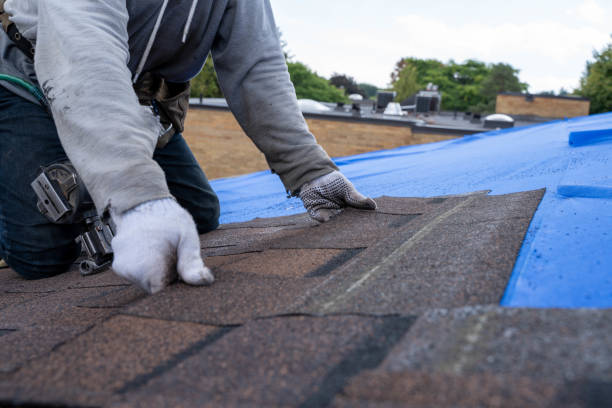 Best Emergency Roof Repair Services  in La Nte, MO
