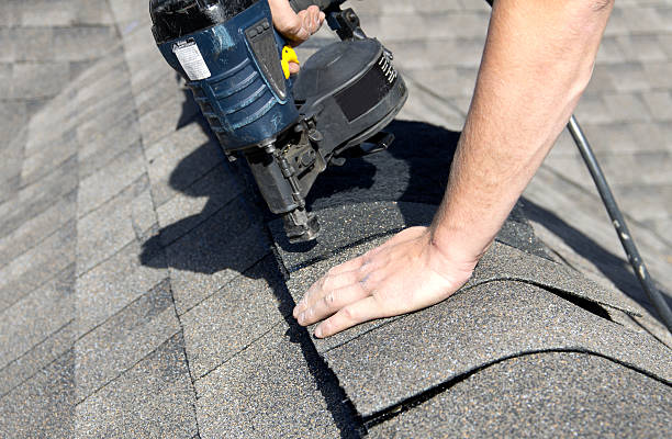 Best Emergency Roof Repair Services  in La Nte, MO